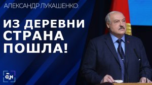 ВООБЩЕ ОЧУМЕЛИ И ОТ ЛЮДЕЙ ОТОРВАЛИСЬ? Лукашенко жёстко о работе Белкоопсоюза и местных властей