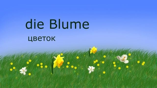 Немецкий для начинающих. Видеословарь на тему 