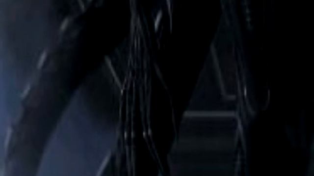 Кто такой Протоморф обзор Protomorph