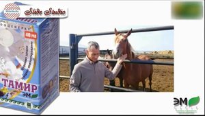 Тамир для ТУАЛЕТОВ и КОМПОСТА