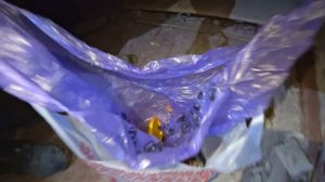 ✅Каково жить в Чернобыльской Зоне? ☢ Выживание в ЧЗО ? Рыбалка в Припяти удивила!