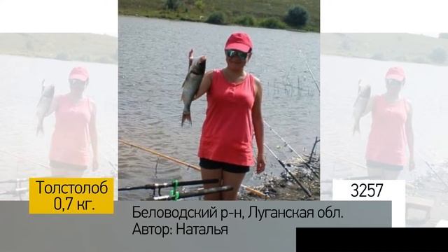 Фотоальбом - Рыбалка №651 смотреть онлайн