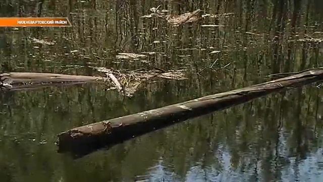 ЧИСТЫЕ РЕКИ смотреть онлайн