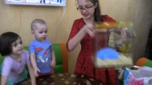 Обустраивание жилья для джунгариков/ Домик для хомяков