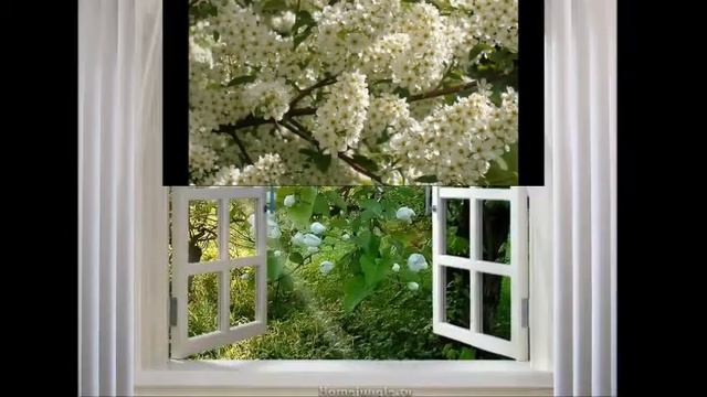 УСЛЫШЬ МЕНЯ КРАСИВАЯ  поет В НЕЧАЕВ смотреть онлайн