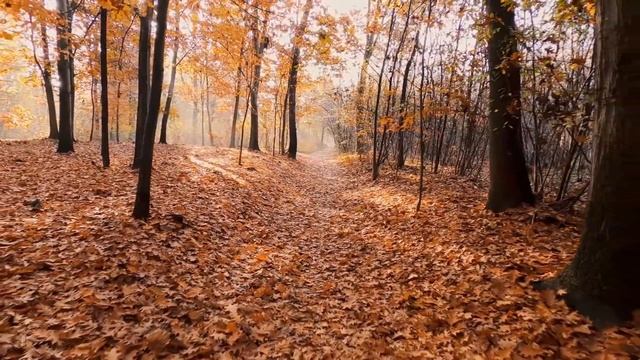 ЗА СВОЮ ИЗМЕНУ ЖЕНА ЗАПЛАТИЛА ЛИШЬ СПУСТЯ ДЕСЯТИЛЕТИЯ Истории измен из Жизни Аудио Рассказ смотреть онлайн