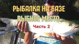 Рыбалка на базе Рыбное место. Часть вторая - Жерех. Астрахань