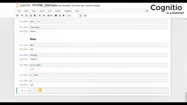 Python Crash Course - ML - DataTypes - Variable and Printing- Part 4