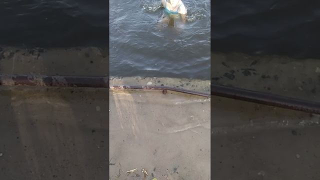 Вера и Рома купаются