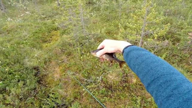 Рыбалка в Заполярье : Хороший денек для рыбалки / Рыбалка на окуня / Хороший клев / Крупный окунь смотреть онлайн