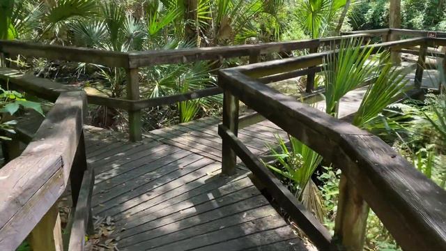 🔴 землетрясение? КИПЯЩАЯ Земля 🔴 РЕЛАКС Boiling Trail Silver Glen Springs Florida USA 14.04.2021 смотреть онлайн