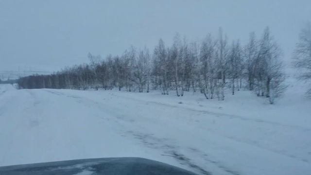 Шурф 2022 2 часть. Совместный с каналом Саратовский кладоискатель!
