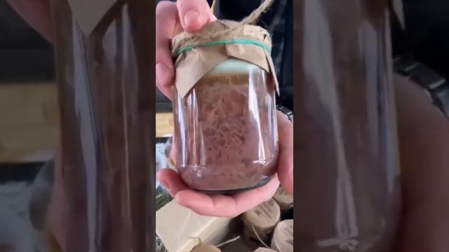 Фермерское Мясо. Набор тушёнки из свинины и телятины