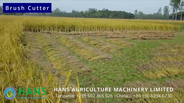 Brush Cutter Rice Harvester Hans Agriculture Machine Limited A World Of Agriculture innovation