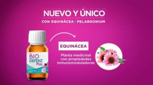 EL PODER DE LA EQUINÁCEA Y EL PELARGONIUM PARA SUBIR DEFENSAS