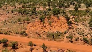 Ещё одна командировка / Буркина-фасо'20 / Геологоразведка в африке