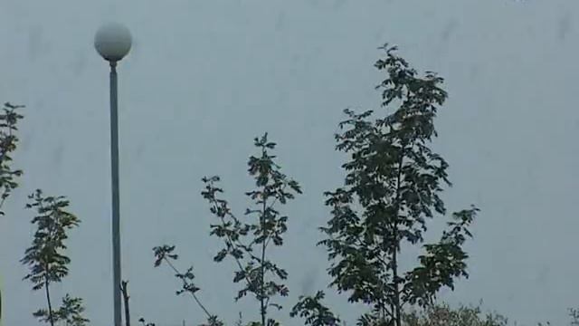 Первый снег в ЗАТО Александровск (22.09.2014) смотреть онлайн