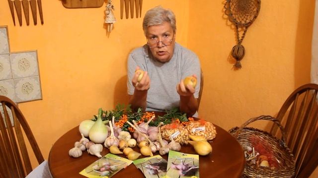 211 Крупноплодные сорта лука под зиму смотреть онлайн