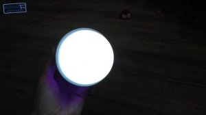 XIAOMI ЛАМПА ОТ КОМАРОВ? ЗАЧЕМ комары пьют КРОВЬ?СКОЛЬКО живут комары?