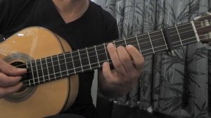 Sting - Fields of Gold (guitar arr. Dominic Miller) played by Marco Olivier