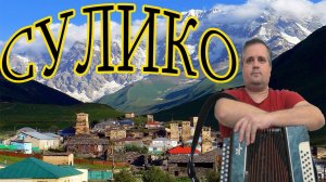 Сулико // разбор на гармони по цифрам