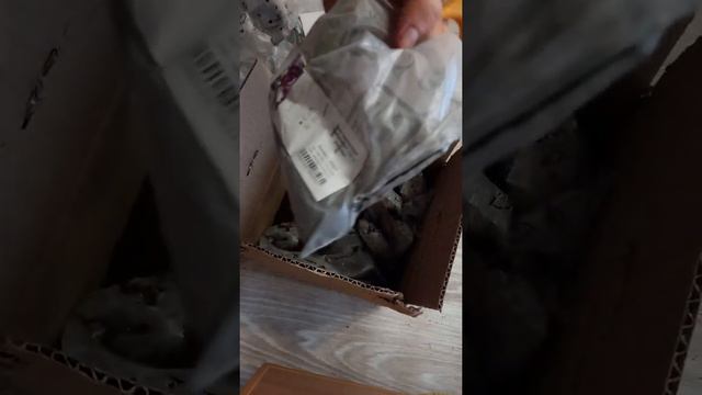 Отзыв Агромаркет (відгук). Іриси, лілії, тюльпани, насіння. смотреть онлайн