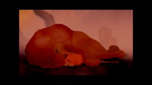 Король лев. Шрам и Муфаса, Симба -  Брат мой, брат