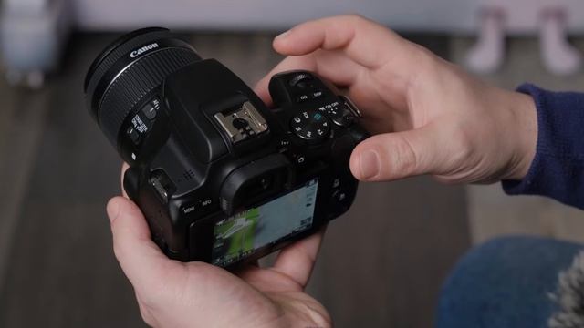 Обзор Canon 250D (камера для начинающего видеографа) отзывы на Pleer.ru