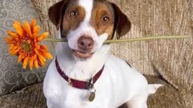 Приезд смотреть онлайн