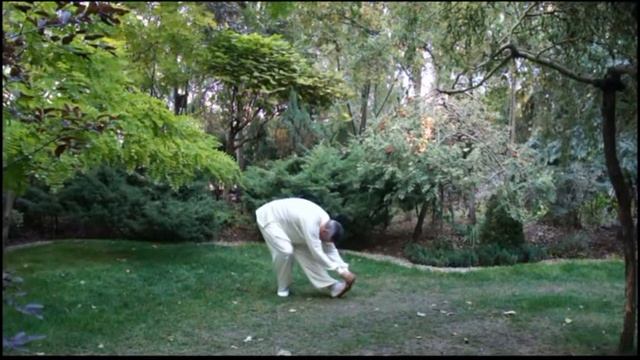 Daoyin Yangsheng Gong for the kidneys №1 with Dr. Butrimov. Russian Daoyin Association смотреть онлайн