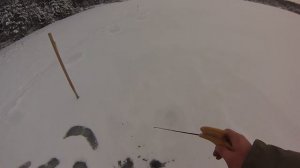 Окунь на зимнюю блесну.Подмосковье. Курская торпедка 30мм. Трехгранка Матвейчикова 32мм.