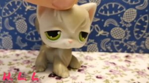 Lps:новый lps!/😲оригенал