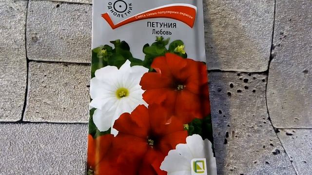 Петуния Любовь - ознакомление, смесь самых популярных окрасок смотреть онлайн