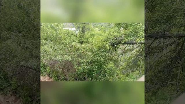 Top video to relieve depression 100% relieve stress No pain. смотреть онлайн