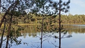 Удивительное озеро Бездонка у садового товарищества Автострада, рядом с д.Павловщина и д.Каменка.