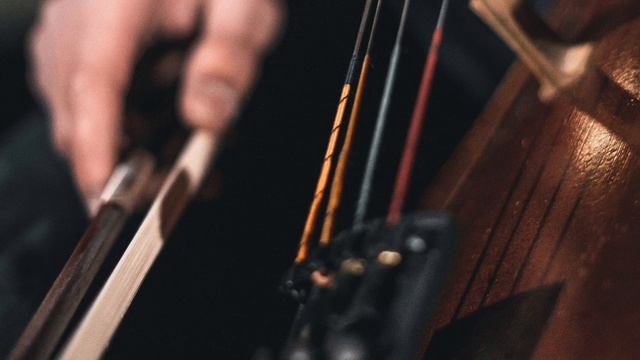 Mozart Classical Music - Brain Development - Intelligence - Songs to Study