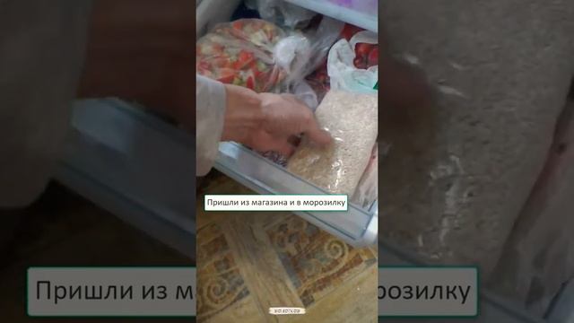 Жуки в крупе на кухне как бороться