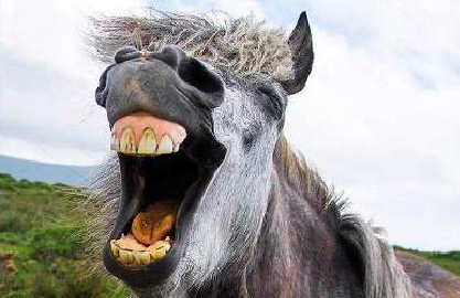 УГАР ПОПРОБУЙ НЕ ЗАСМЕЯТЬСЯ С ТЕБЯ ЛАЙК ПОДПИСКА