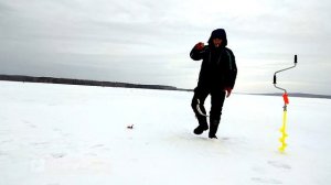 Повис! Рыбалка на судака зимой в феврале 2020
