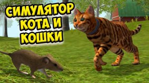 Симулятор КОТА и КОШКИ Босс енот в СИМЕ cat sim