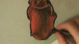 Как пастелью нарисовать розу