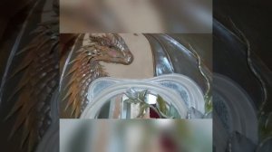 в нашем доме поселился замечательный сосед...