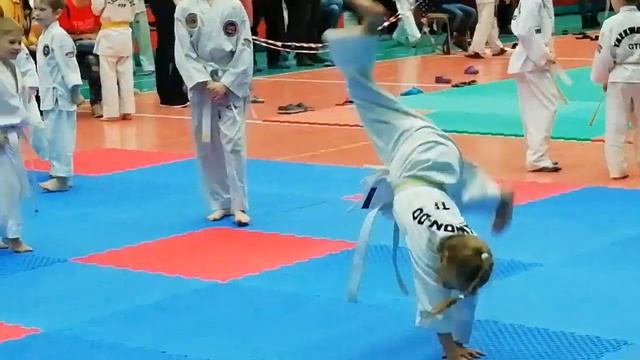 Разминка перед соревнованиями по тхэквондо ГТФ смотреть онлайн