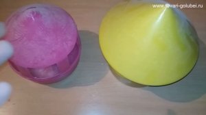 ЗИМНИЕ поилки для голубей.  Достоинства и недостатки.