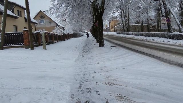 БЕЛАЯ СКАЗКА#жизньданки #жизньданки смотреть онлайн