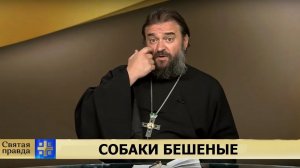 Протоиерей Андрей Ткачев: собаки бешеные