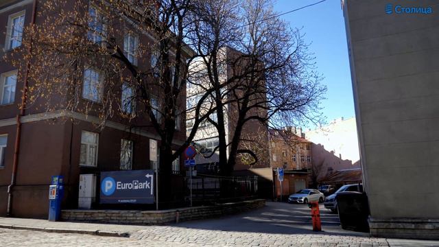 «Секреты Таллинна»: одинокий лев на улице Харью