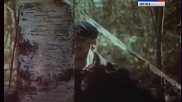 1987 Из нашего кинофонда Д ф Черная лиса в золотом поле смотреть онлайн