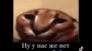 мама ты зачем подорвала огурец memes