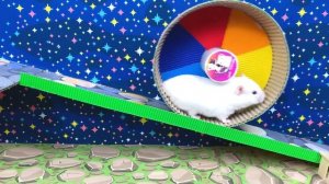 ?Hamster Escapes The Awesome Minecraft Maze With Minecraft Monsters